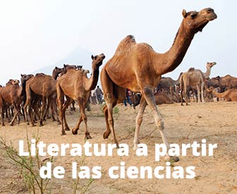 Science Literature Brochure - Spanish