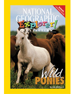 Explorer Books (Pathfinder Science: Animals): Wild Ponies, 6-pack