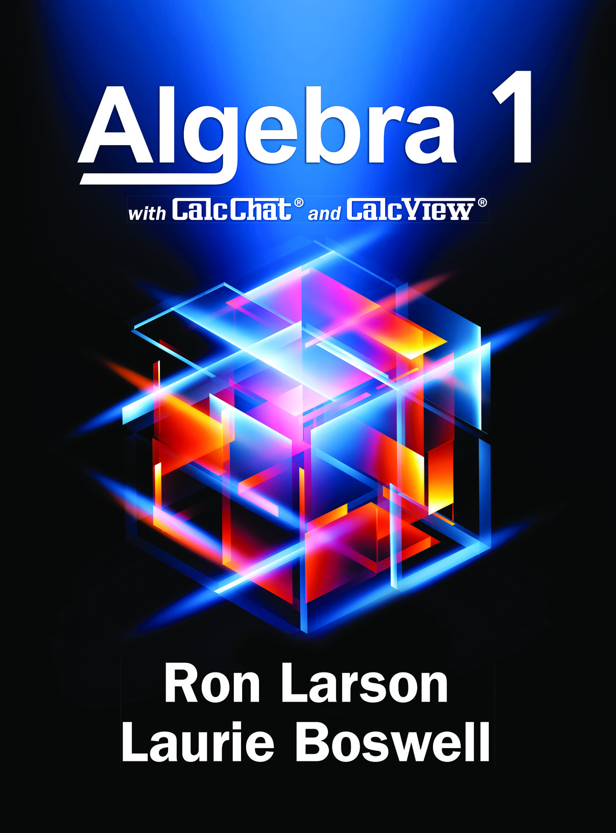 Big Ideas Math Algebra 1 Workbook Answers
