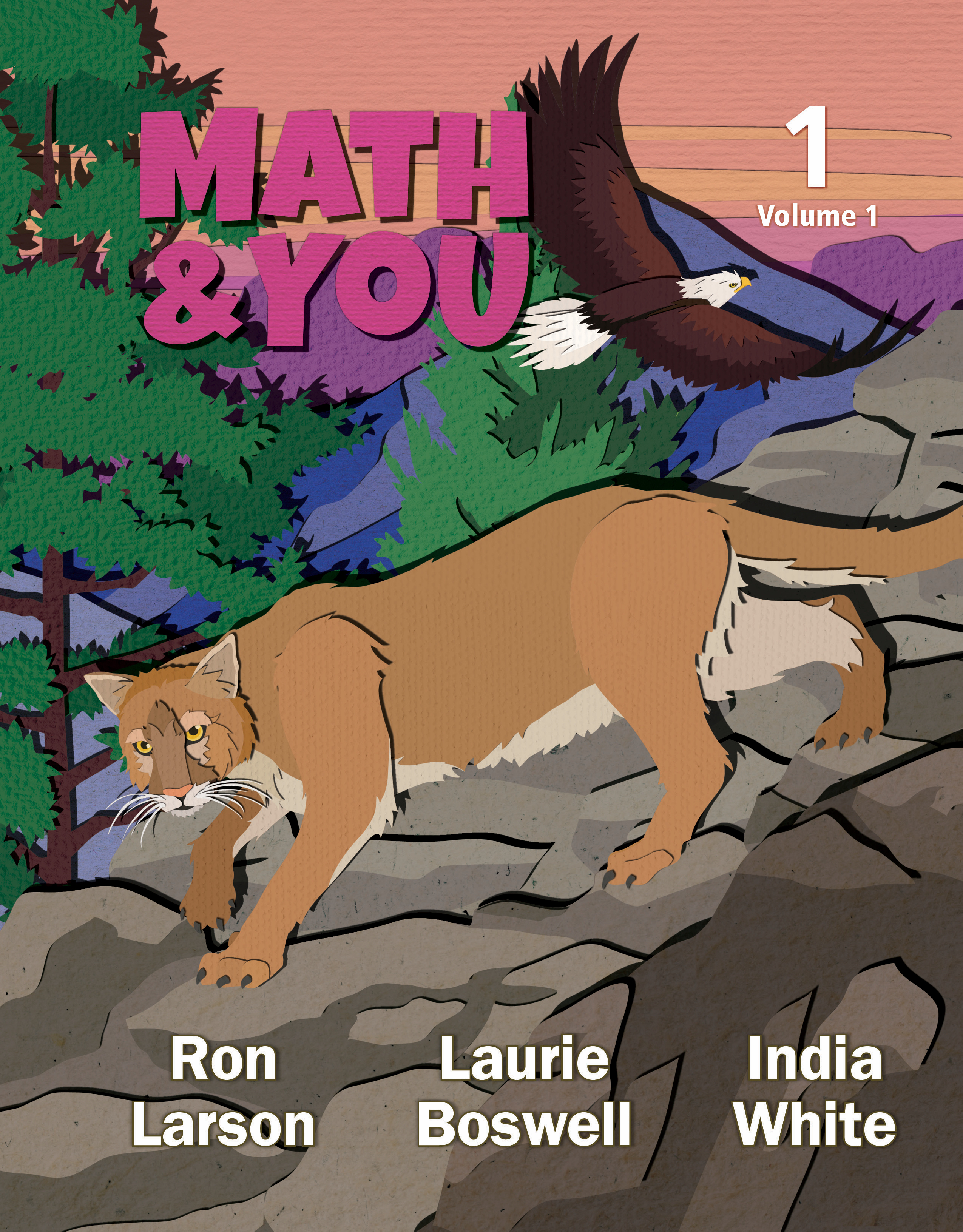 Big Ideas Math & You 1 book cover