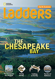 Cover image of product