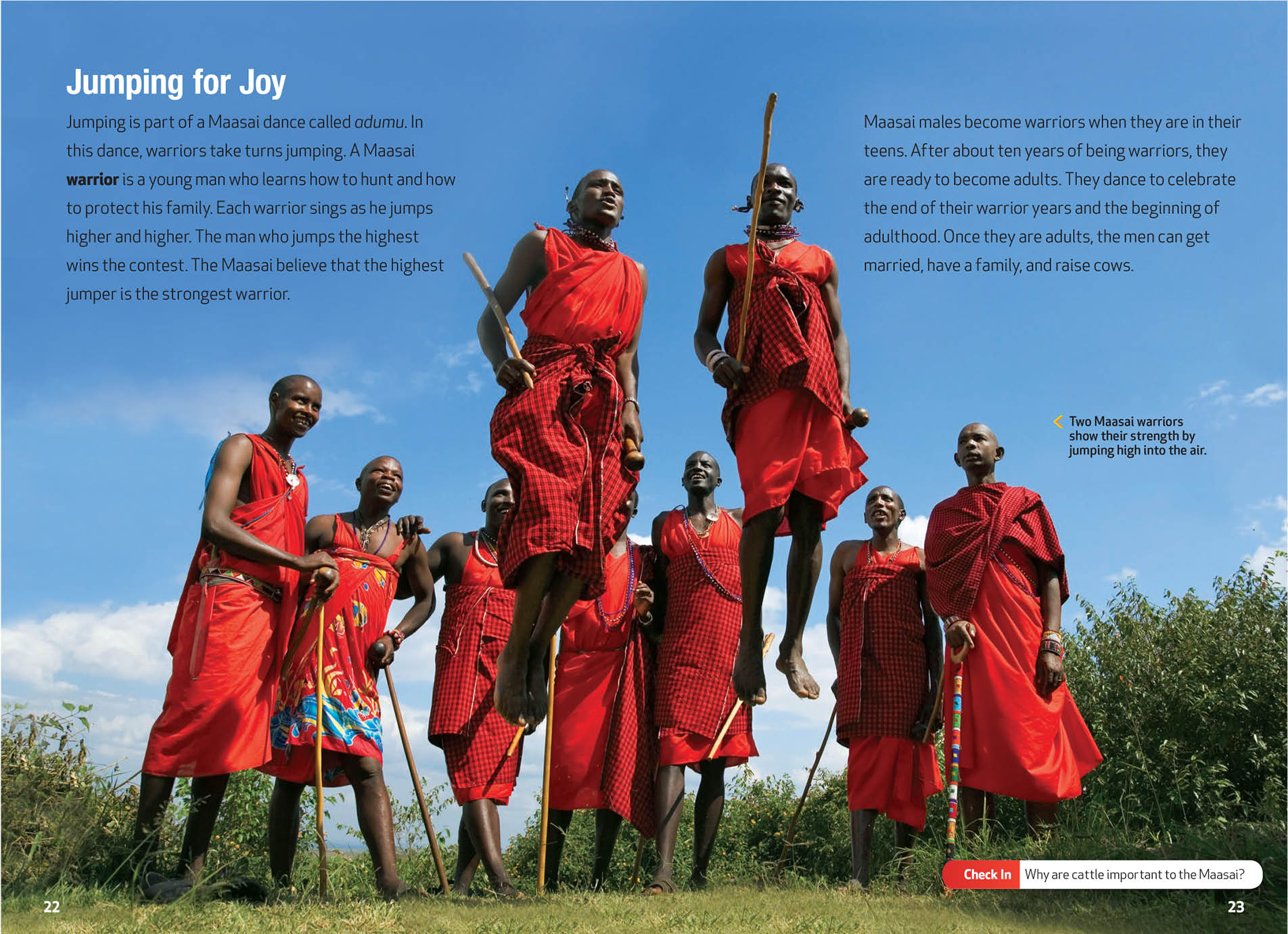 National Geographic Ladders NGL School Catalog Series PRO0000008463