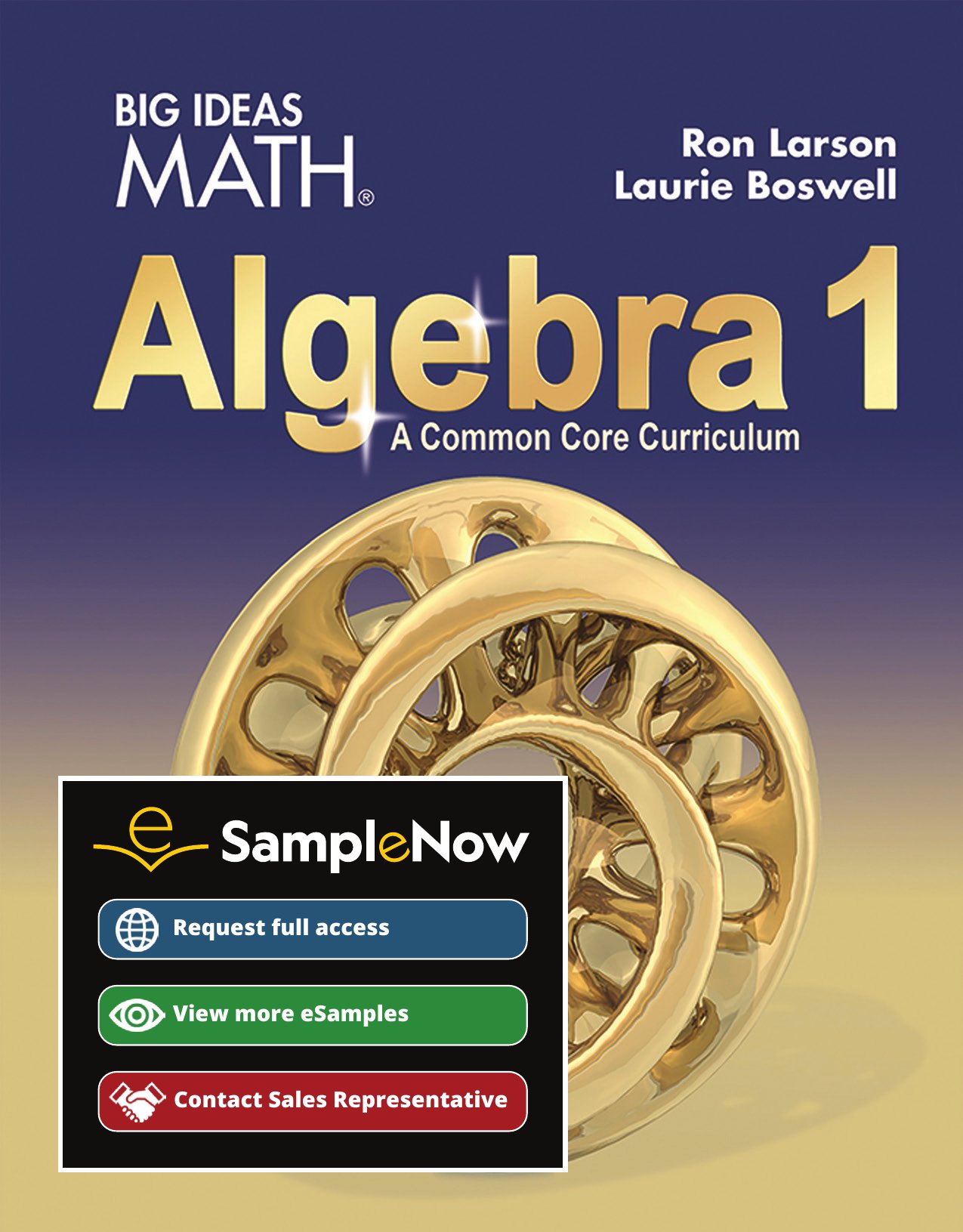 Big Ideas Math Algebra 1: A Common Core Curriculum